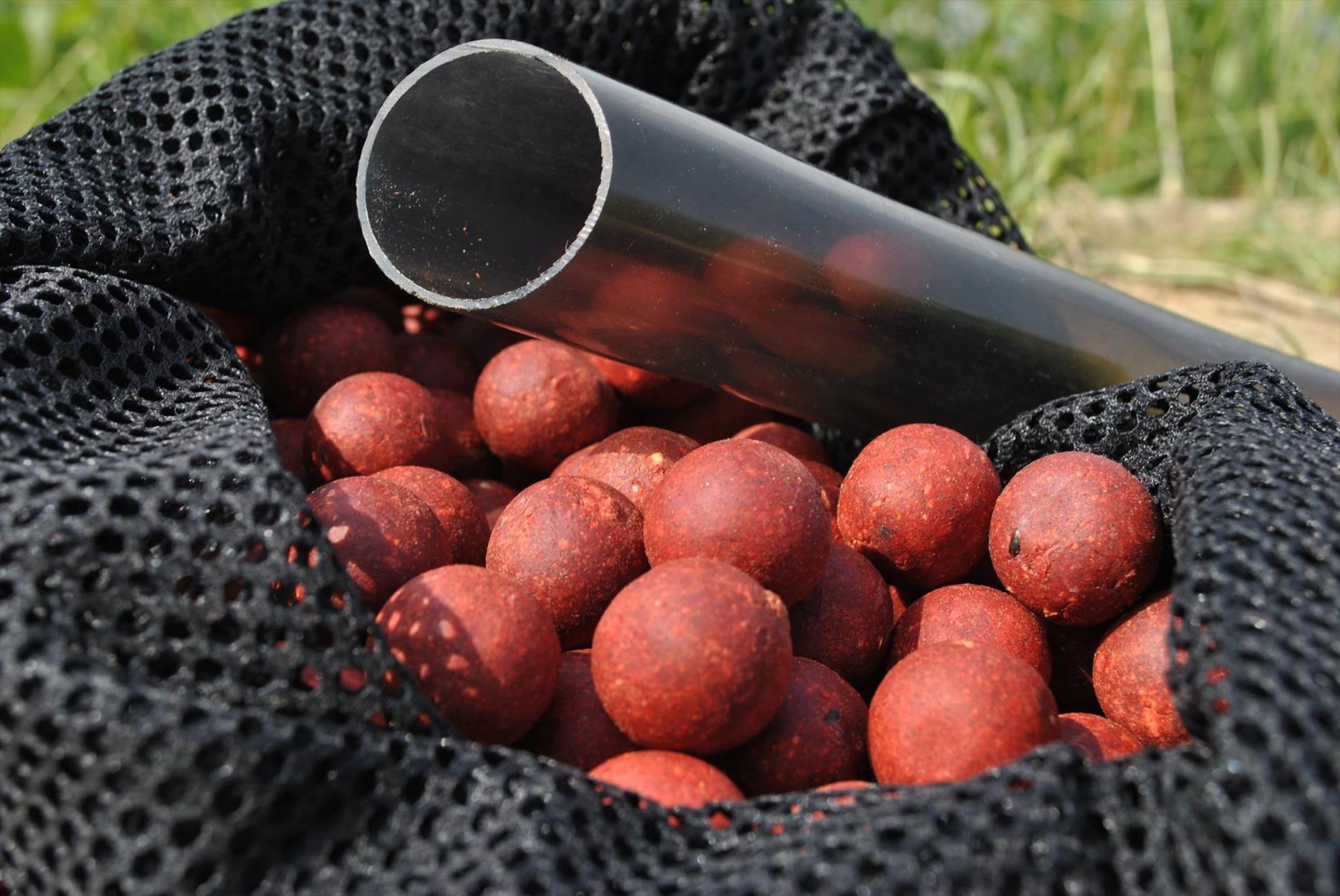 Lansat vs Plantat. Partea I.